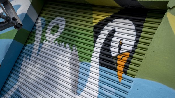 Bailieborough-Creative-Hub-Photo-by-Dimitry-Germanov-Swan null
